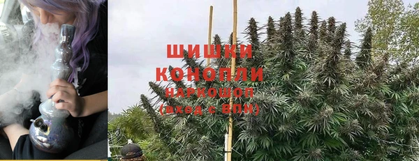 крисы Абаза