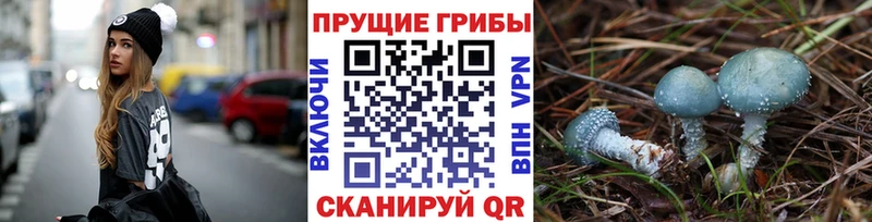 mega вход  Усолье  Галлюциногенные грибы Cubensis 
